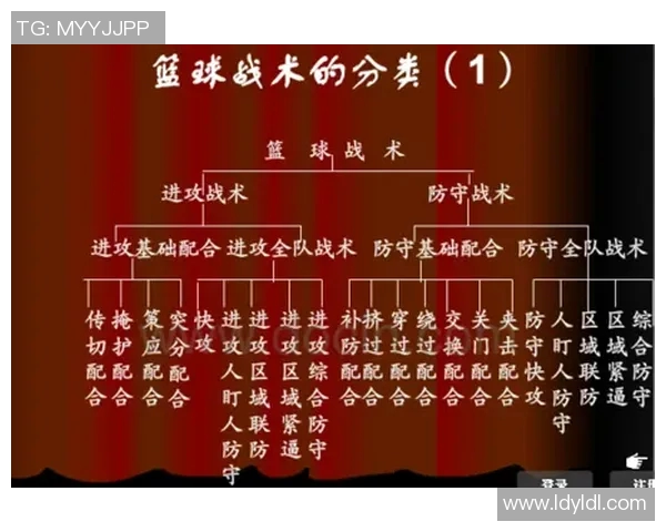 以控球后卫为核心打造新型篮球战术体系提升球队整体进攻与防守效率