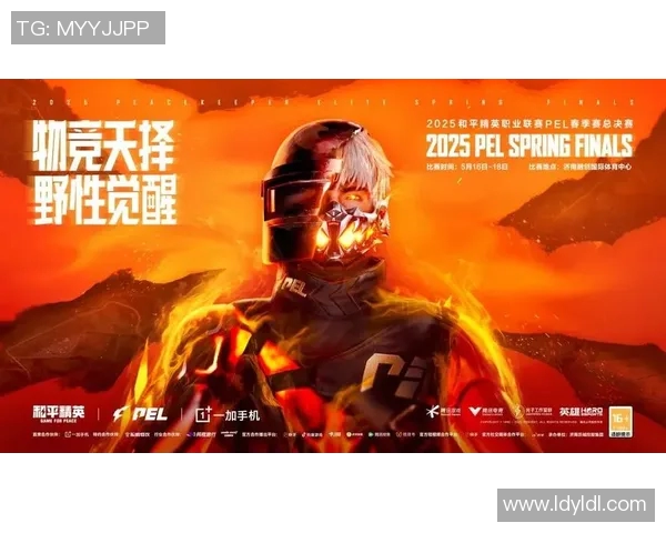 聚焦和平精英：探讨LNG战队在电竞赛场上的强大影响力与团队精神