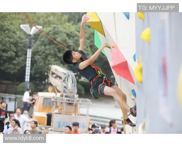 南京飞盘队在攀岩联赛中的心理素质分析与表现评估